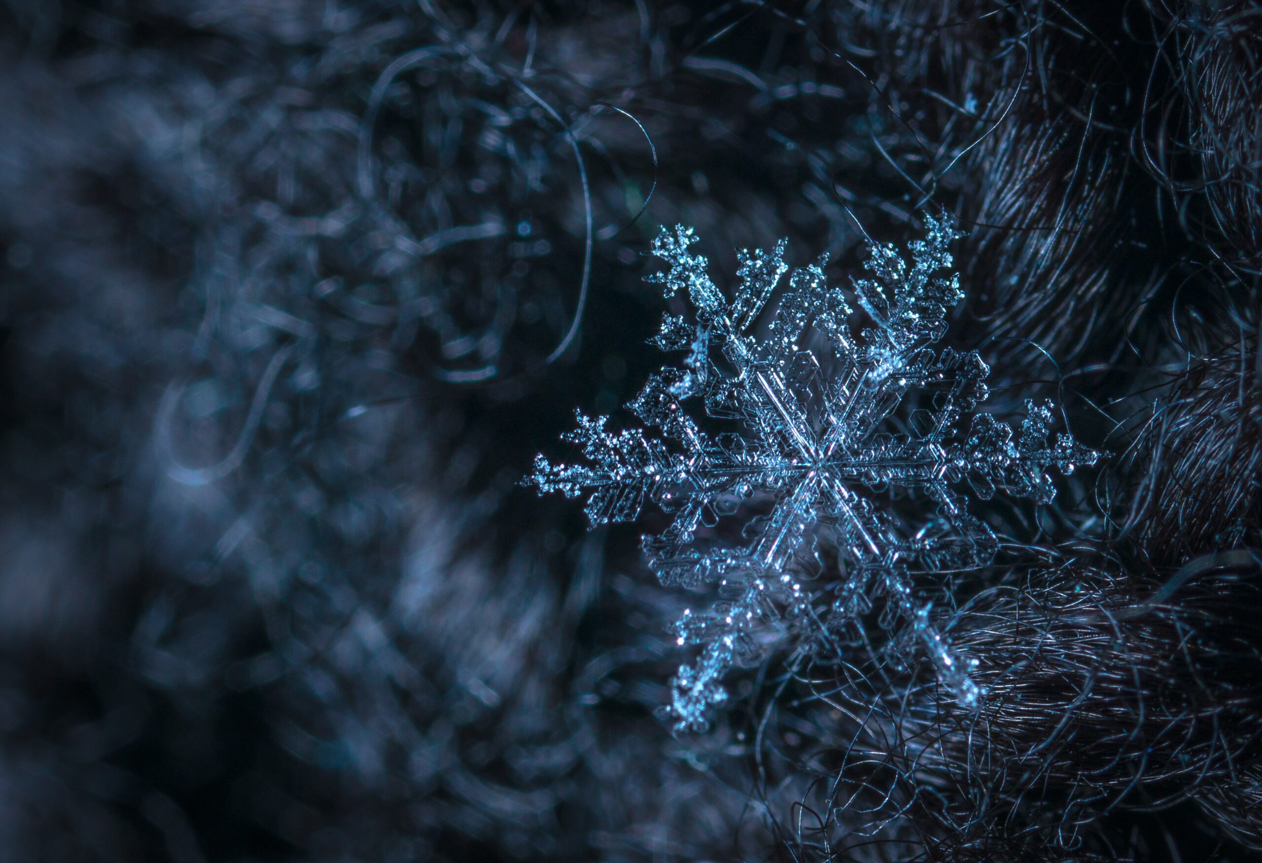 chaîne du froid