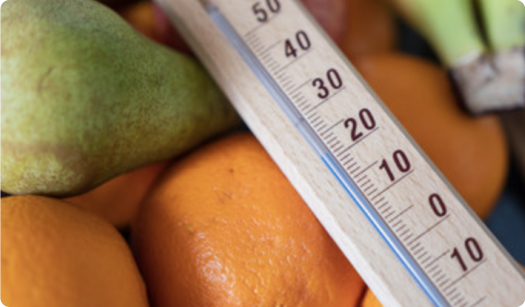 conservation temperature fruits et legumes